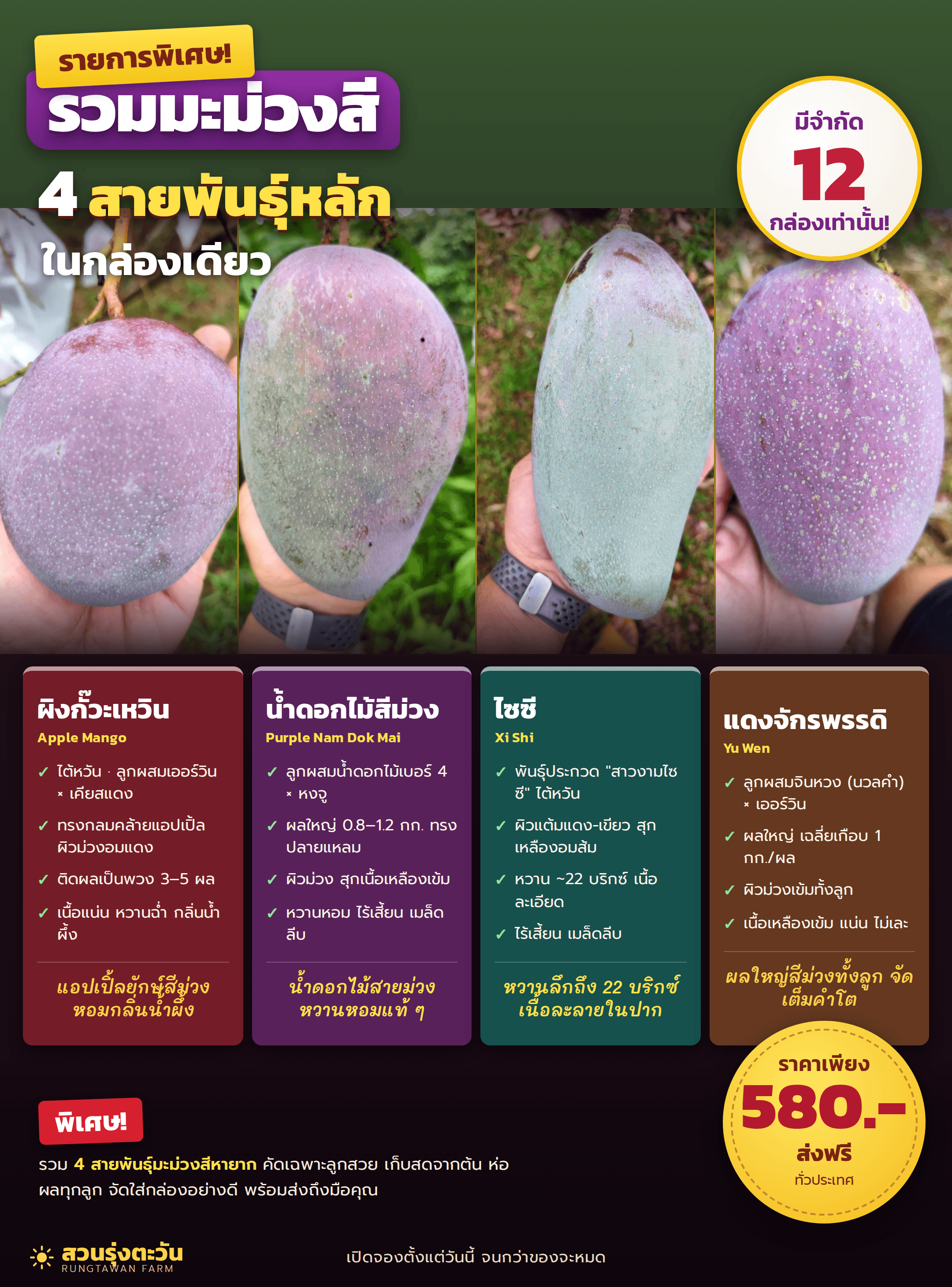 มะม่วงสี รวม 4 สายพันธุ์พิเศษ กก