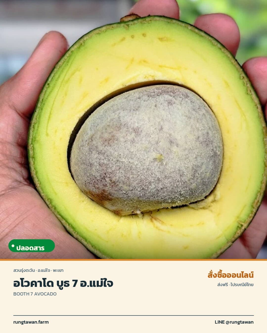 อโวคาโด บูธ 7 อ.แม่ใจ