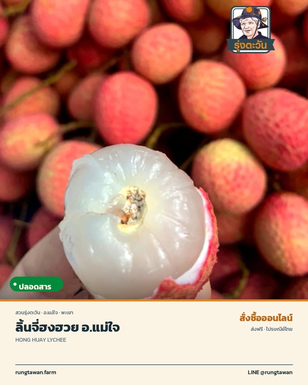 ลิ้นจี่ฮงฮวย อ.แม่ใจ 1