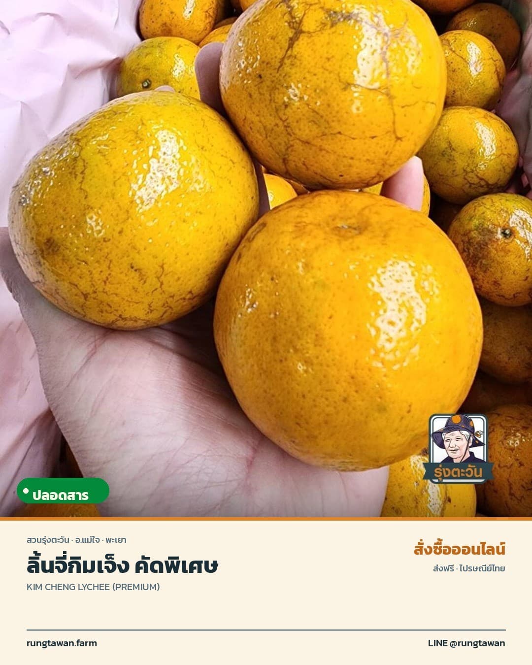 ลิ้นจี่กิมเจ็ง คัดพิเศษ