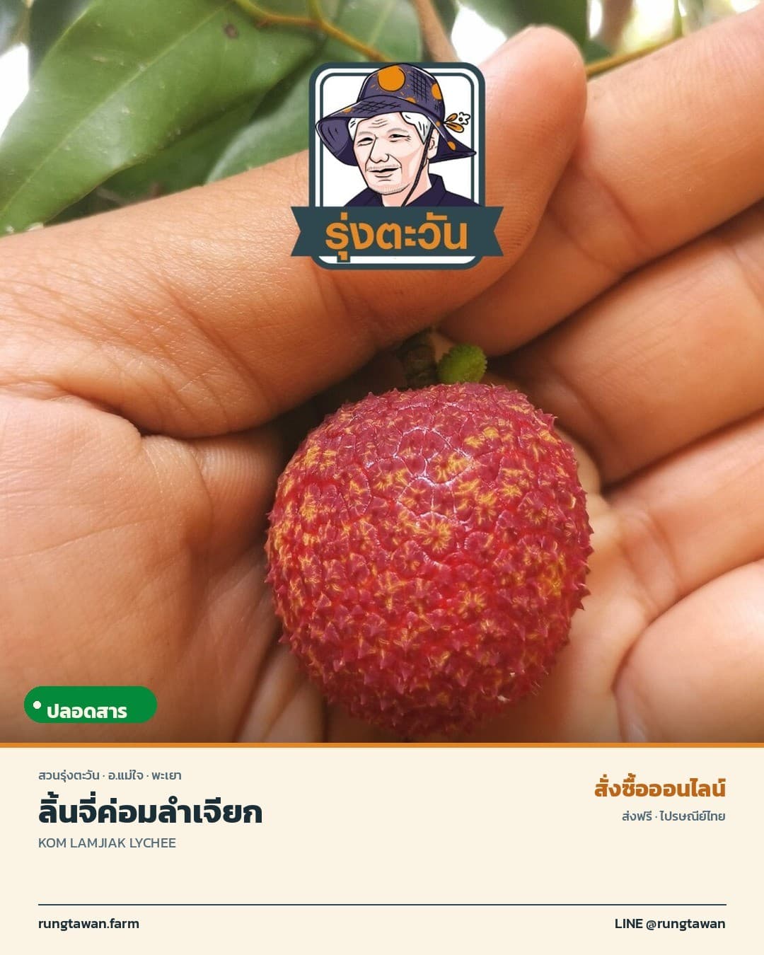 ลิ้นจี่ค่อมลำเจียก