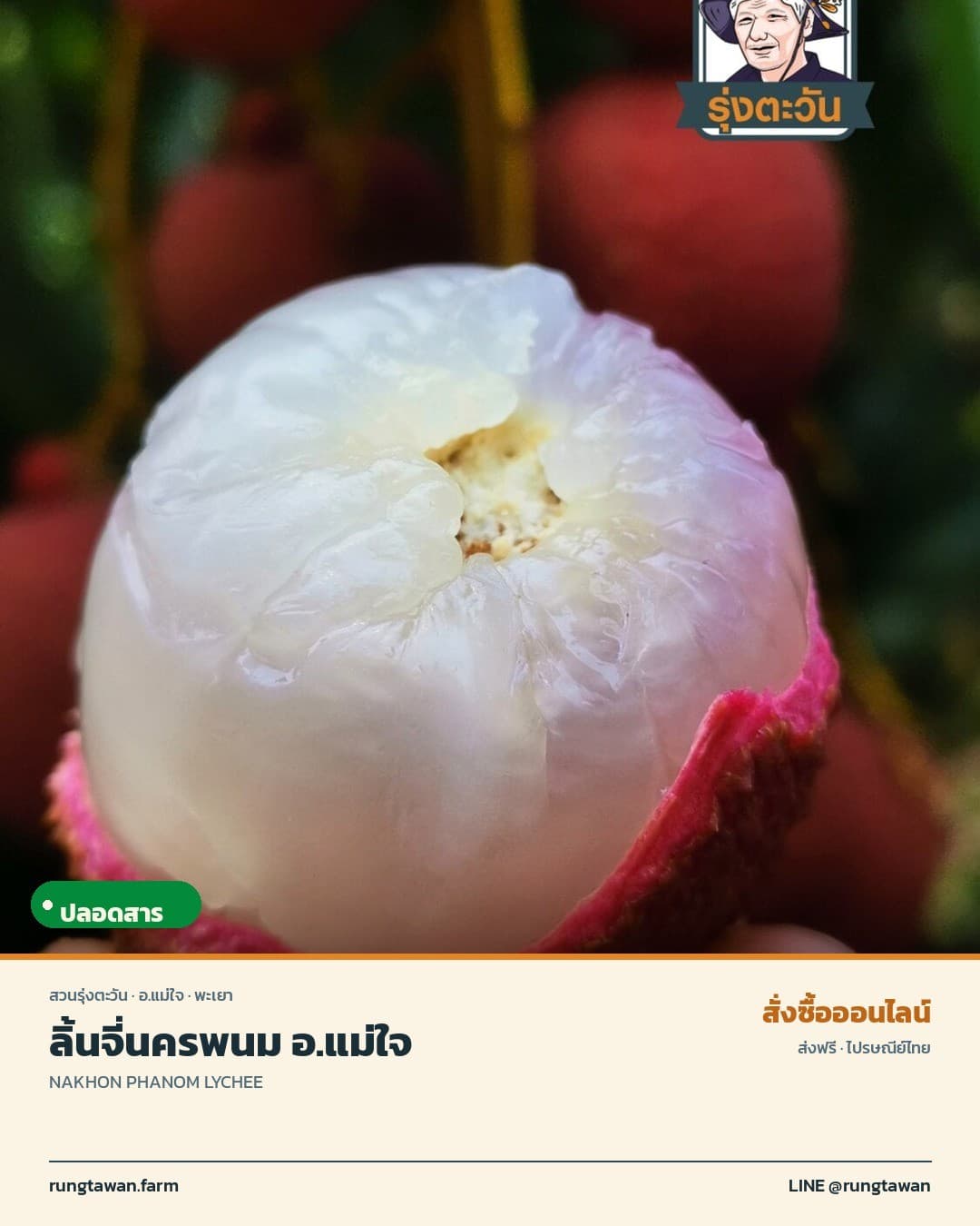 ลิ้นจี่นครพนม อ.แม่ใจ