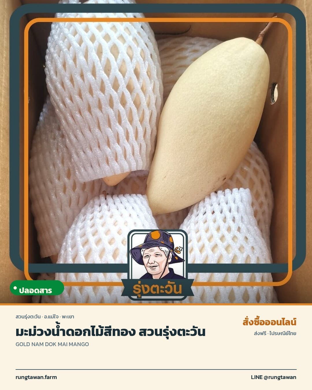 มะม่วงน้ำดอกไม้สีทอง สวนรุ่งตะวัน