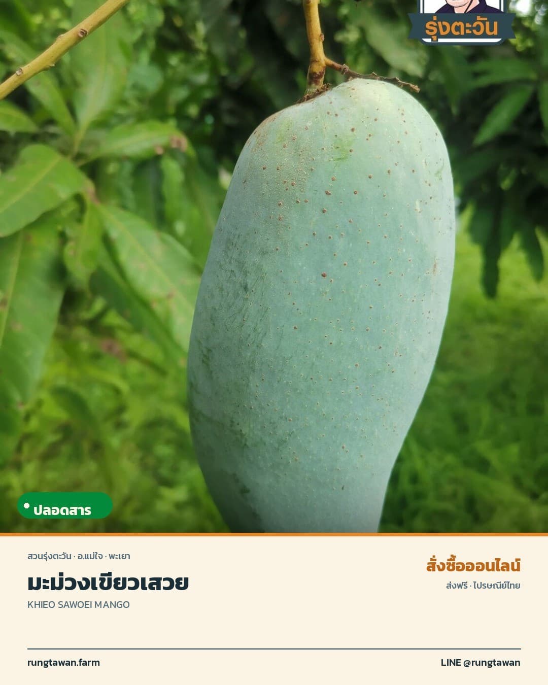 มะม่วงเขียวเสวย