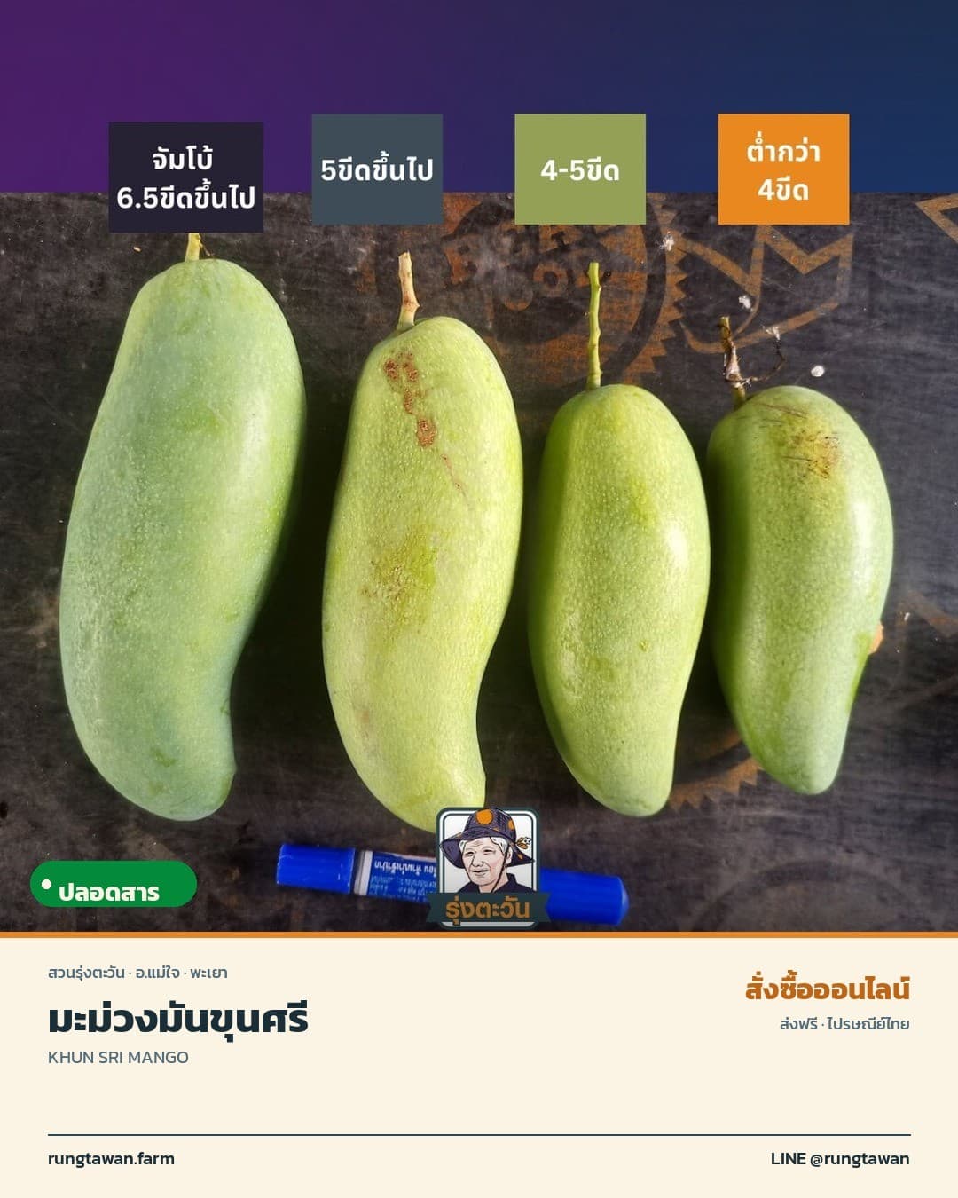 มะม่วงมันขุนศรี