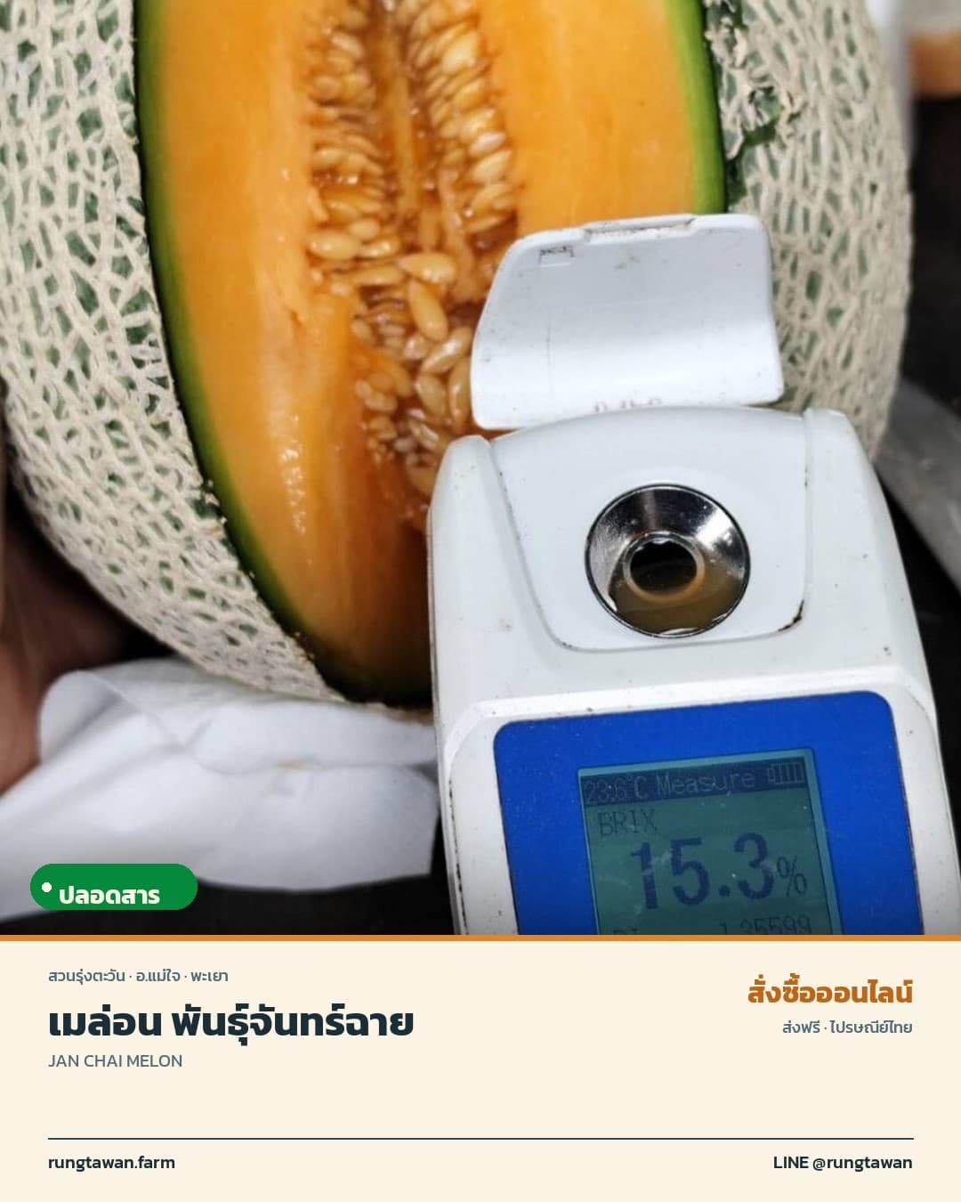 เมล่อนสวนรุ่งตะวัน พันธุ์จันทร์ฉาย