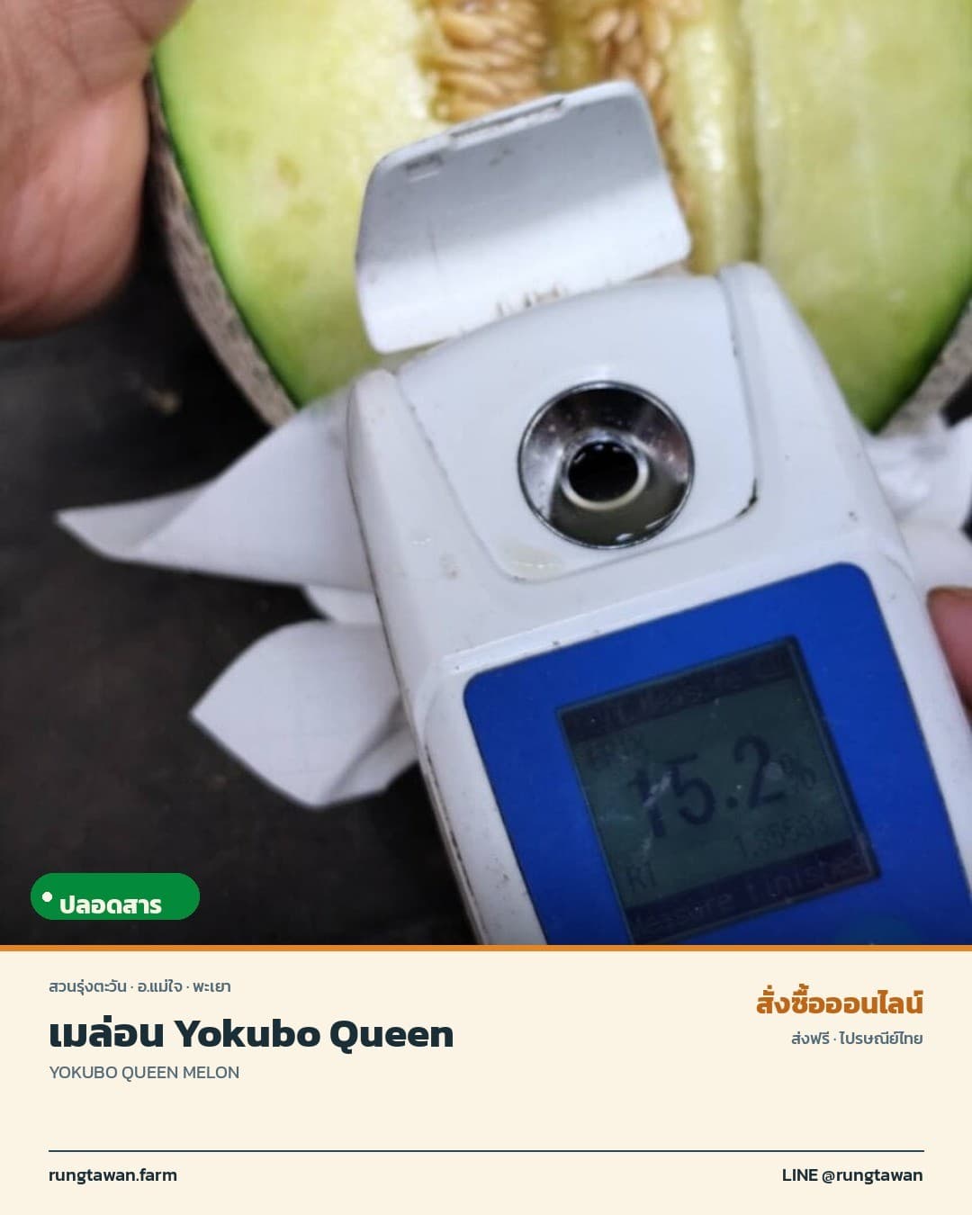 เมล่อนสวนรุ่งตะวัน Yokubo Queen