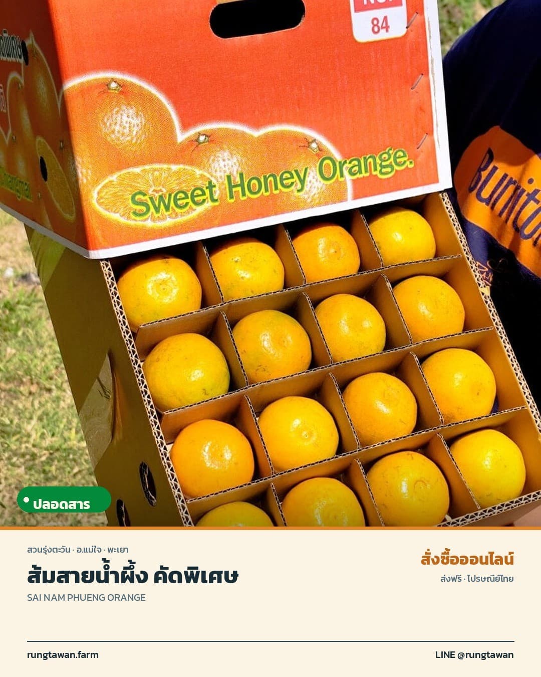 ส้มสายน้ำผึ้งคัดพิเศษ รสชาติดี