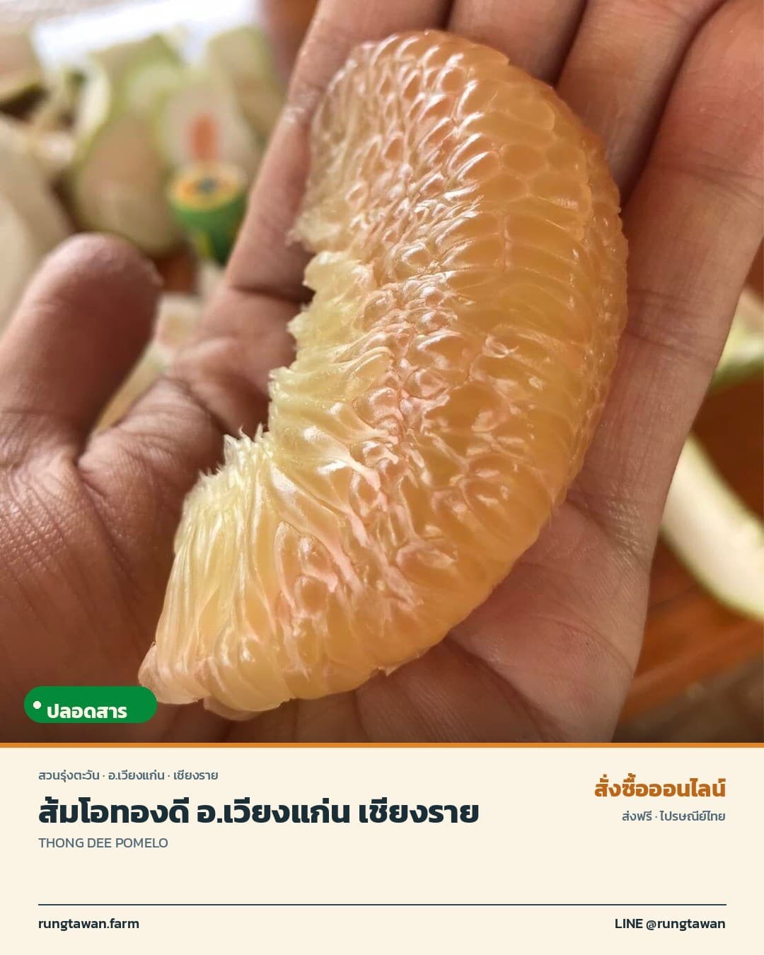 ส้มโอทองดี อ.เวียงแก่น เชียงราย