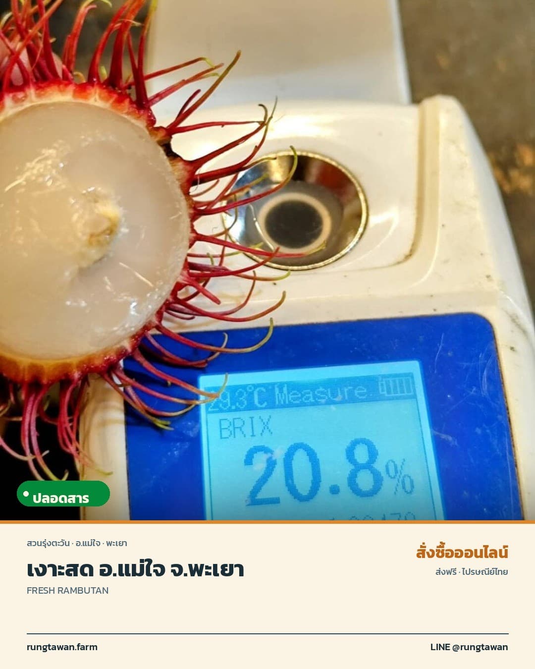 เงาะ สด อ.แม่ใจ จ.พะเยา
