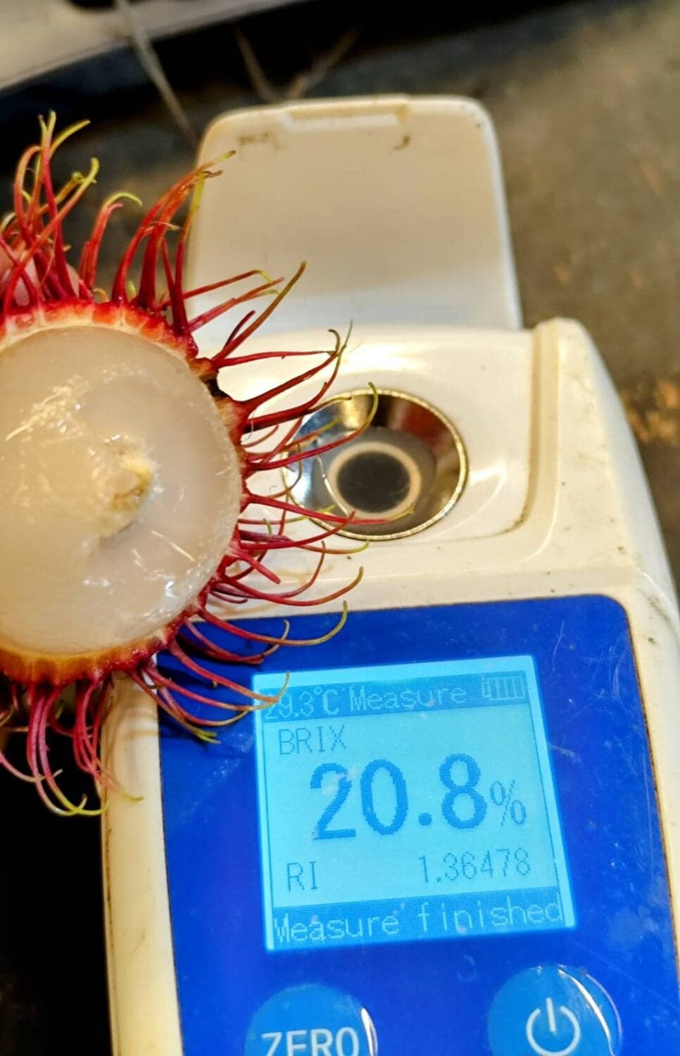 เงาะ สด อ.แม่ใจ จ.พะเยา