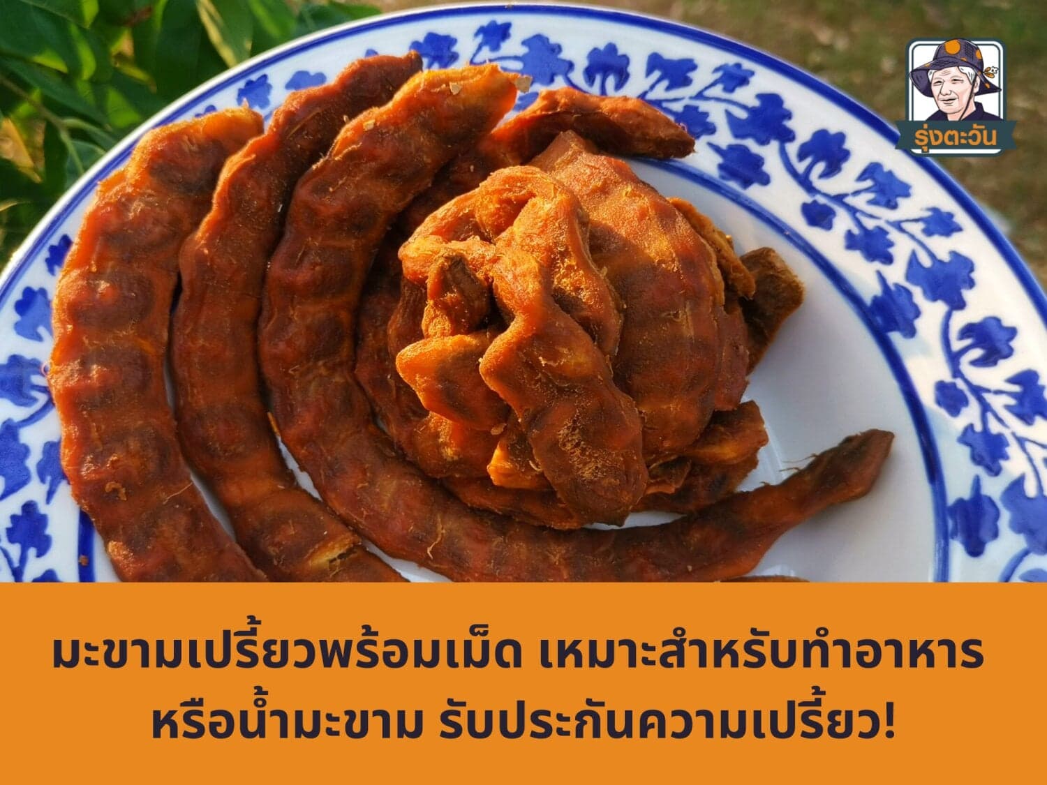 มะขามเปรี้ยว