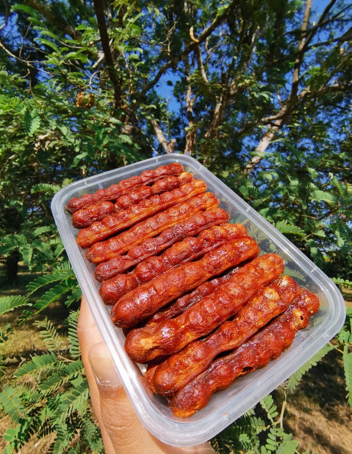 เกรด A มะขามหวาน แกะพร้อมทาน สายพันธุ์ศรีชมภู