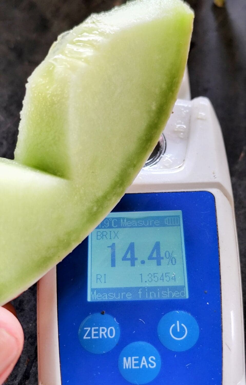 มะม่วงฝรุ่งตกตึก อ.แม่ใจ