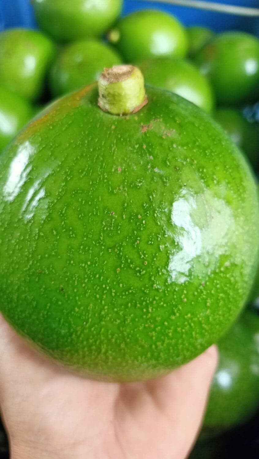 อโวคาโด ปีเตอร์สัน