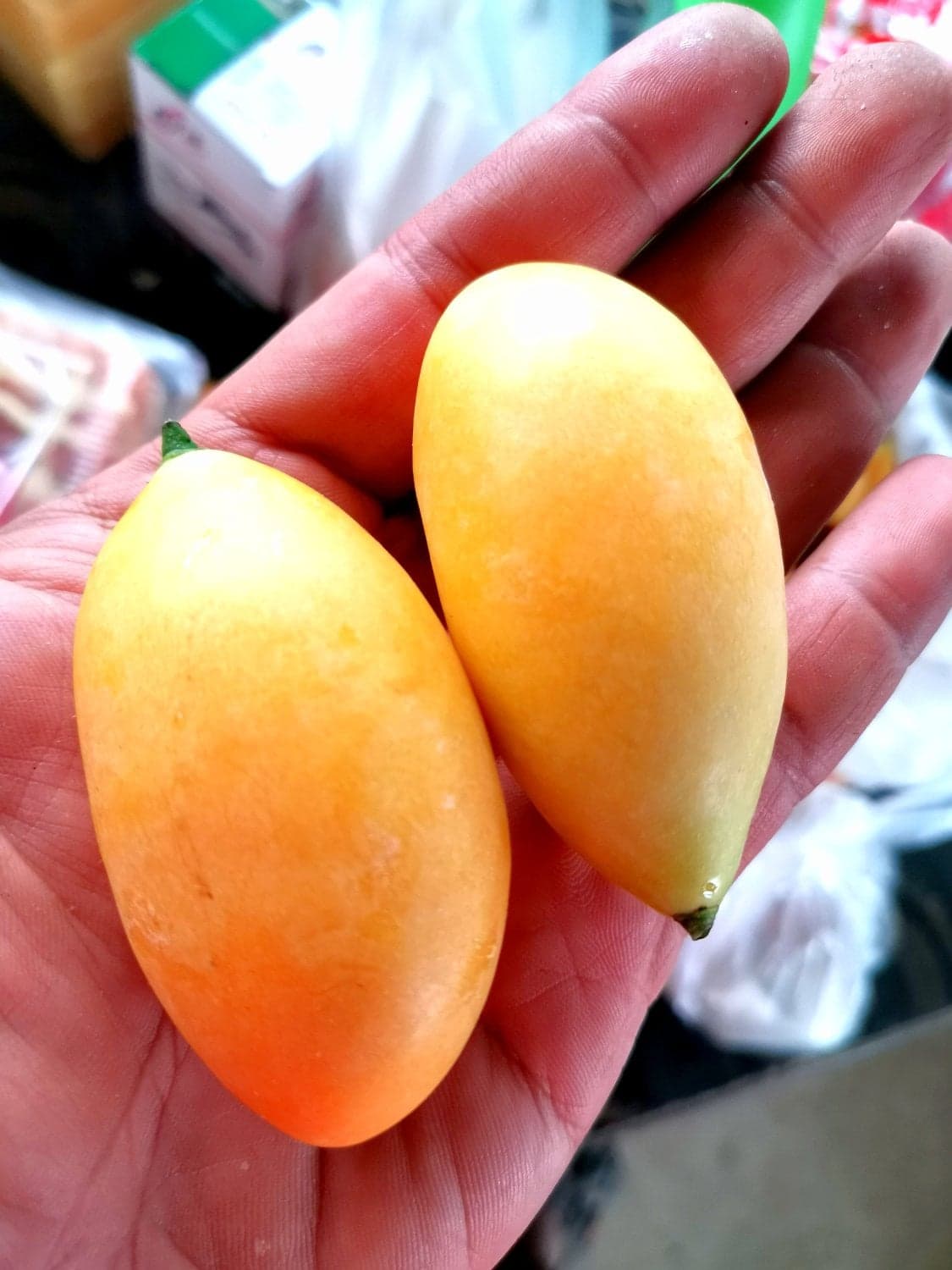 มะยงชิด อำเภอแม่ใจ จังหวัดพะเยา