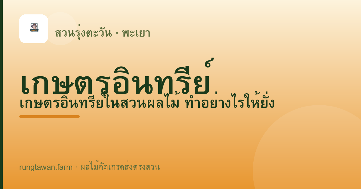เกษตรอินทรีย์ในสวนผลไม้ — บทความจากสวนรุ่งตะวัน พะเยา