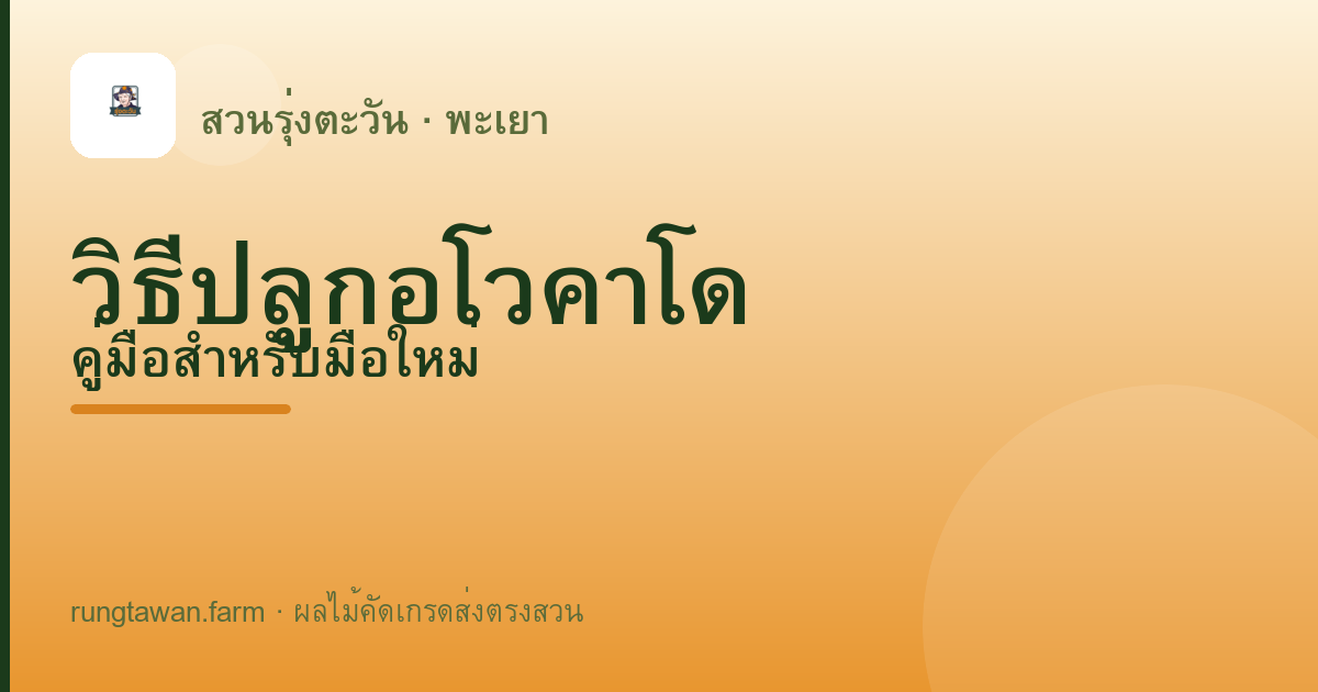 อโวคาโดพันธุ์ไหนเหมาะกับพื้นที่ไหน? เทียบตามระดับความสูง