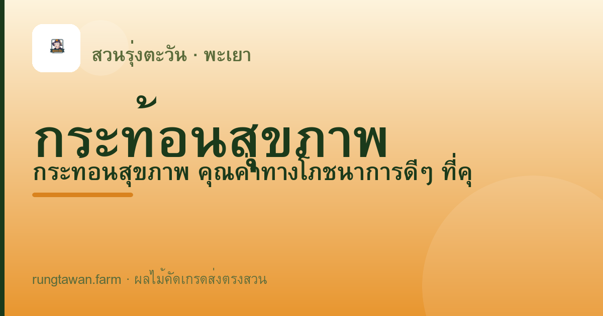 กระท้อนสุขภาพ — สวนรุ่งตะวัน พะเยา
