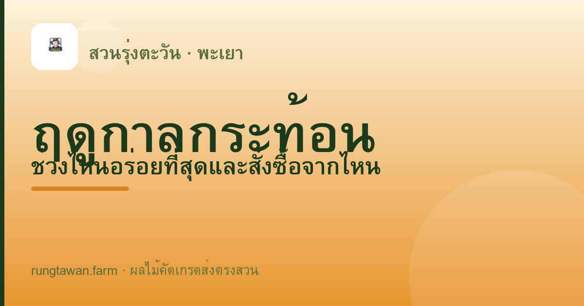 ฤดูกาลกระท้อน — สวนรุ่งตะวัน พะเยา
