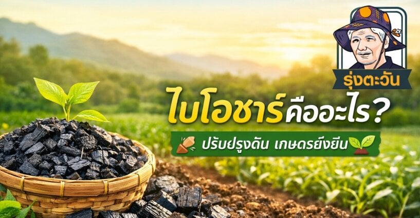 ไบโอชาร์ (Biochar) คืออะไร? ตัวช่วยฟื้นฟูดิน เพิ่มผลผลิต และเกษตรยั่งยืน