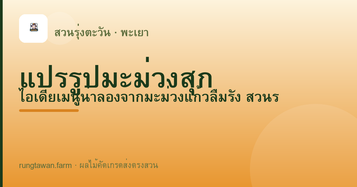 แปรรูปมะม่วงสุก — สวนรุ่งตะวัน พะเยา