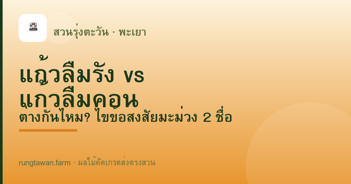 แก้วลืมรัง กับ แก้วลืมคอน ต่างกันไหม? ไขข้อสงสัยมะม่วง 2 ชื่อ