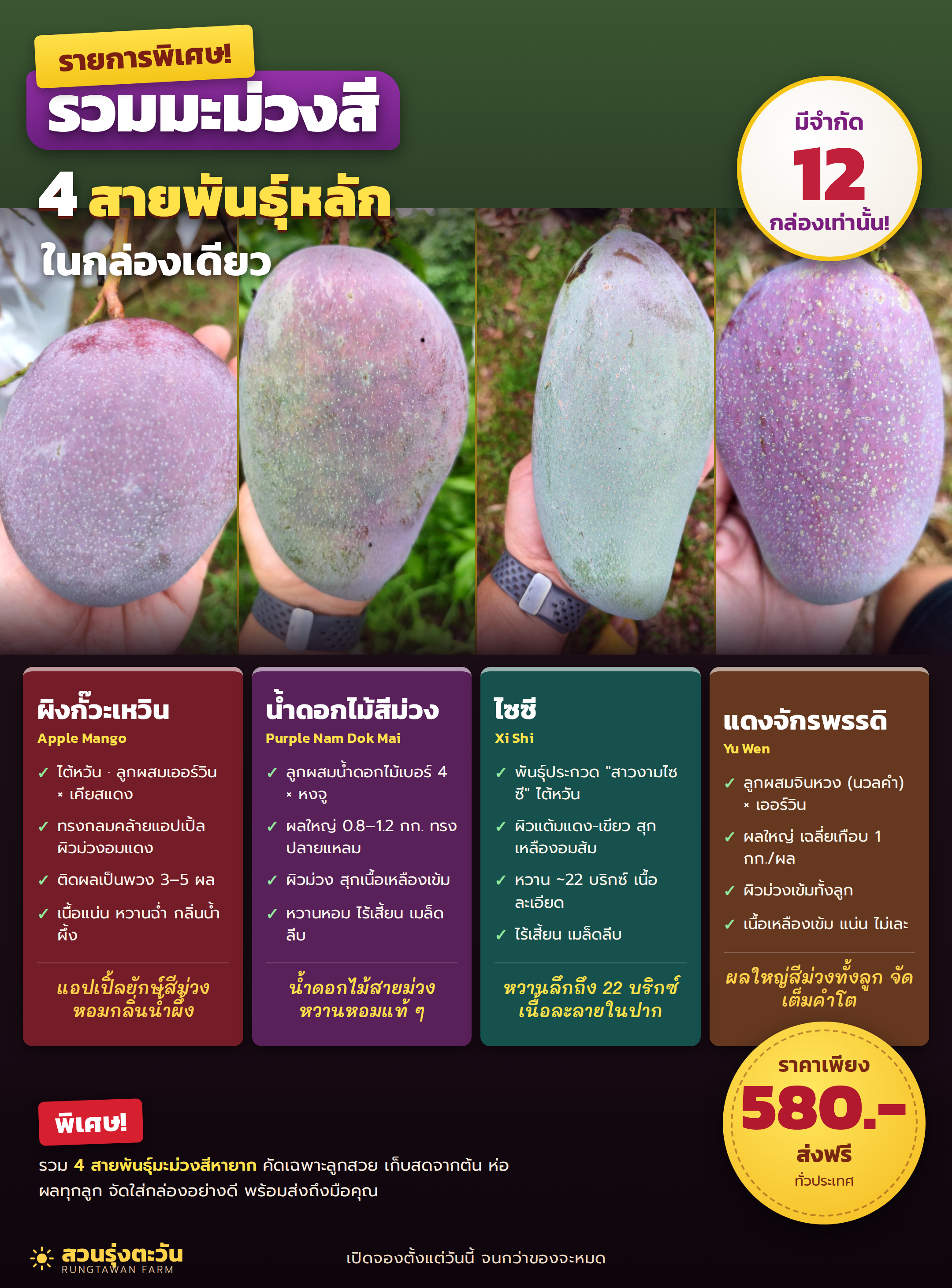 มะม่วงสี รวม 4 สายพันธุ์พิเศษ กก