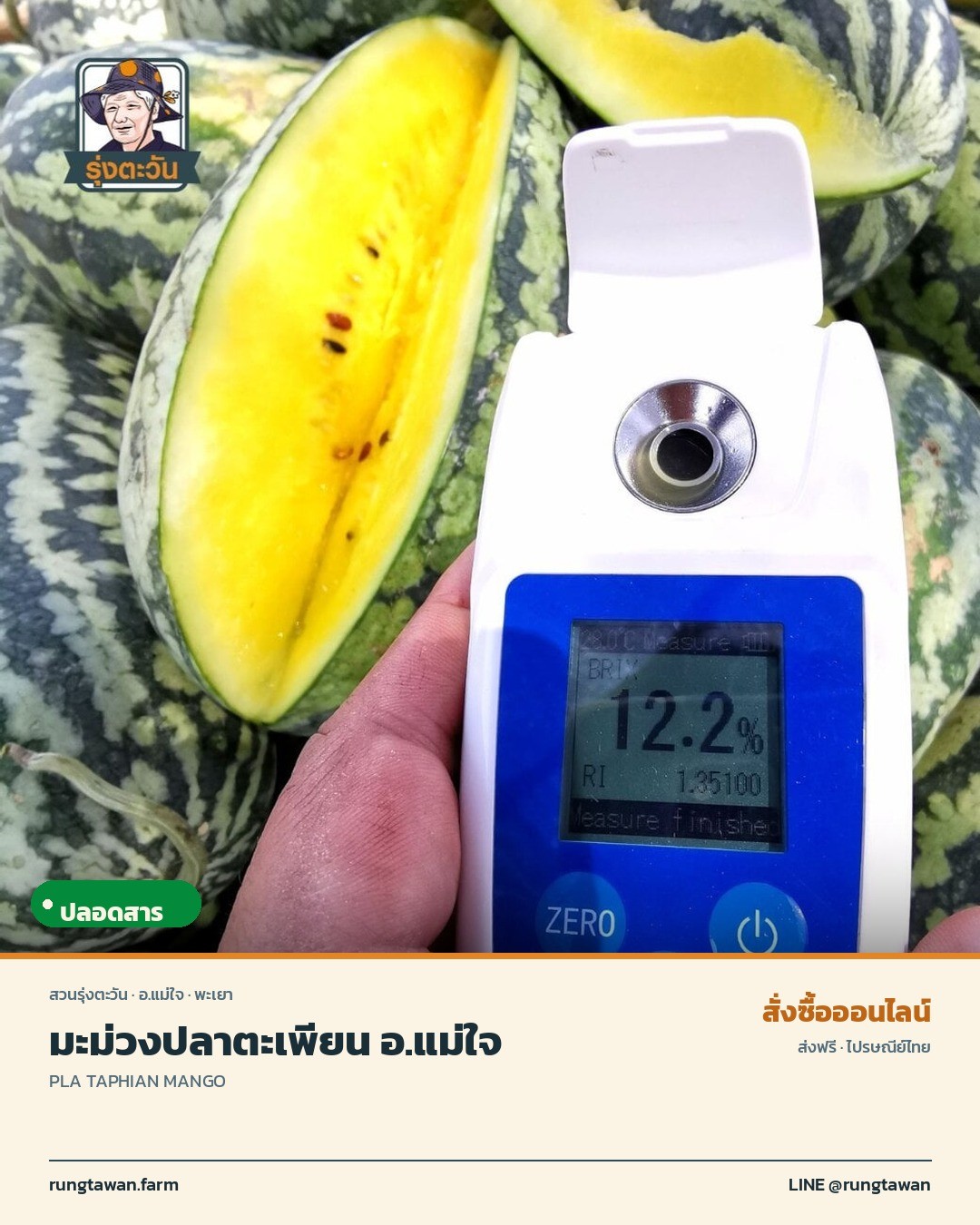 มะม่วงปลาตะเพียน คืออะไร รสชาติเป็นยังไง